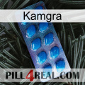 Kamgra viagra1